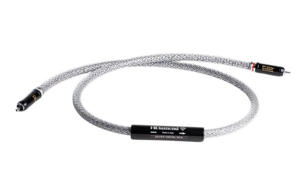 Silver Digital RCA