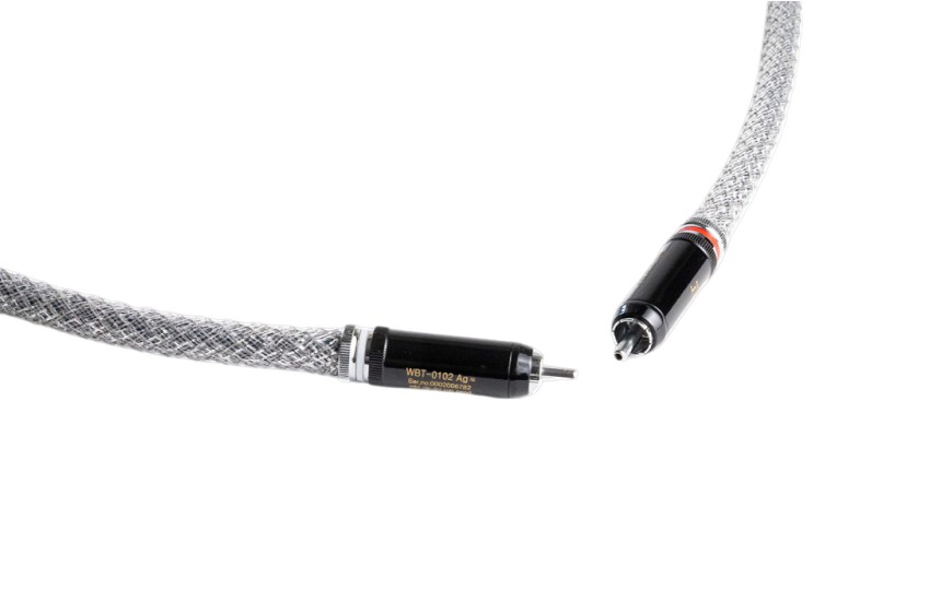 Silver Digital RCA